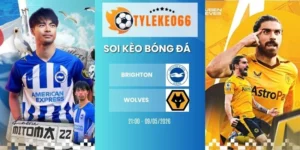 Soi kèo nhà cái Brighton vs Wolves hôm nay ngày 09/05/2026 - NHA